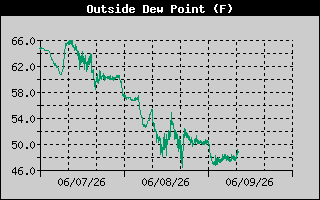 Dew Point History