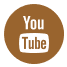 youtube icon