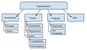 organization