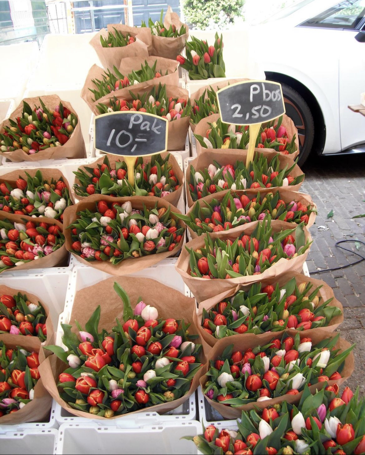 stand of tulips wrapped in paper packaging